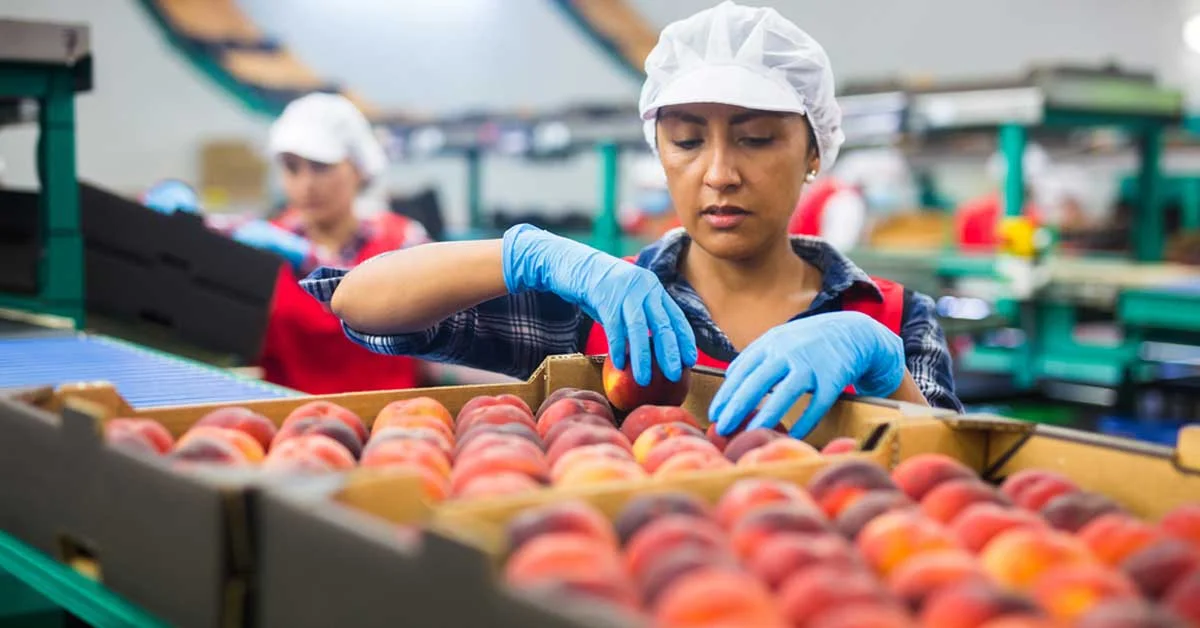 Food and Agricultural Industry