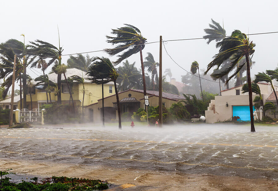 Water Damage Restoration Disaster Recovery